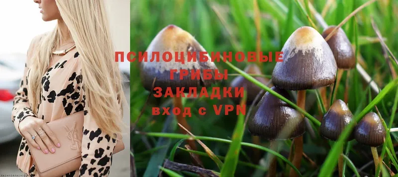 Галлюциногенные грибы Magic Shrooms  Белоозёрский 